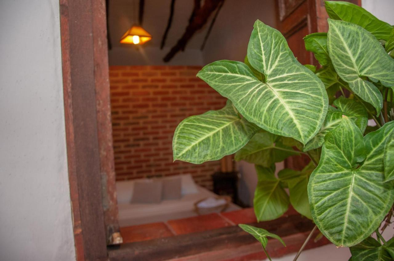 La Juanita Hostel باريكارا المظهر الخارجي الصورة